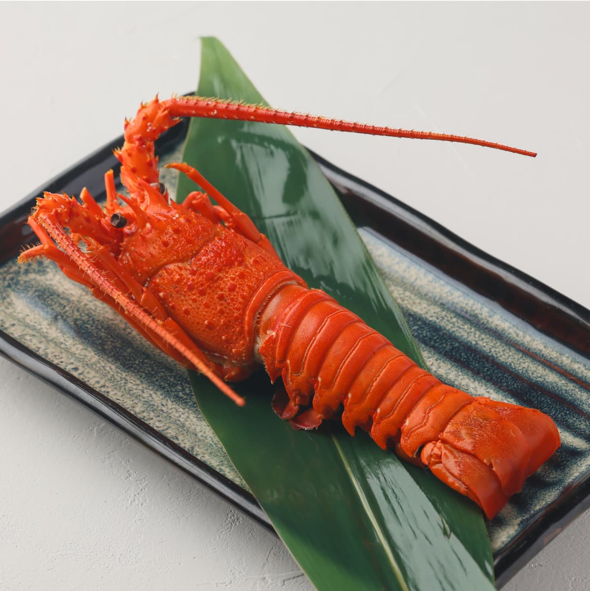 伊勢海老